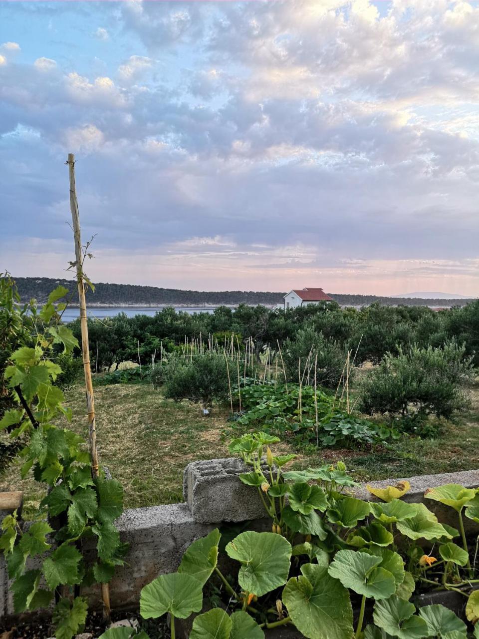 Apartment Zekija Barbat na Rabu Екстериор снимка